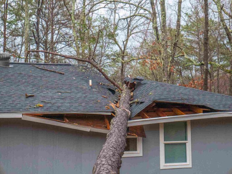 Storm-damaged home with a large fallen tree crashing through the roof requiring emergency storm damage restoration services from Paul Davis Restoration of Brooklyn West